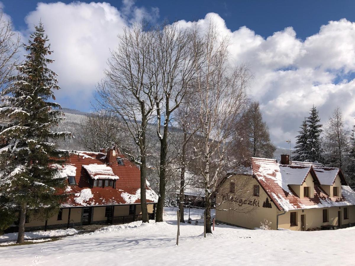 Willa Wiezyczki Świeradów-Zdrój Exteriér fotografie